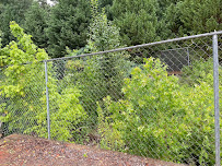 JS&P Landscaping - Photo 2 - Car repair in , South Fulton