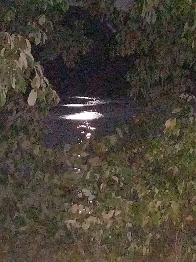 Marina «Mitchell Creek Marina», reviews and photos, 1260 Livingston Boat Dock Rd, Allons, TN 38541, USA