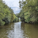 Photo n° 1 de l'avis de Sylvain.i fait le 30/07/2022 à 08:18 pour Les bateliers des marais du Cotentin: La Guinguette et Les barques du marais à Carentan-les-Marais