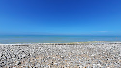 Plage de St Aubin sur Mer'in fotoğrafı vahşi alan