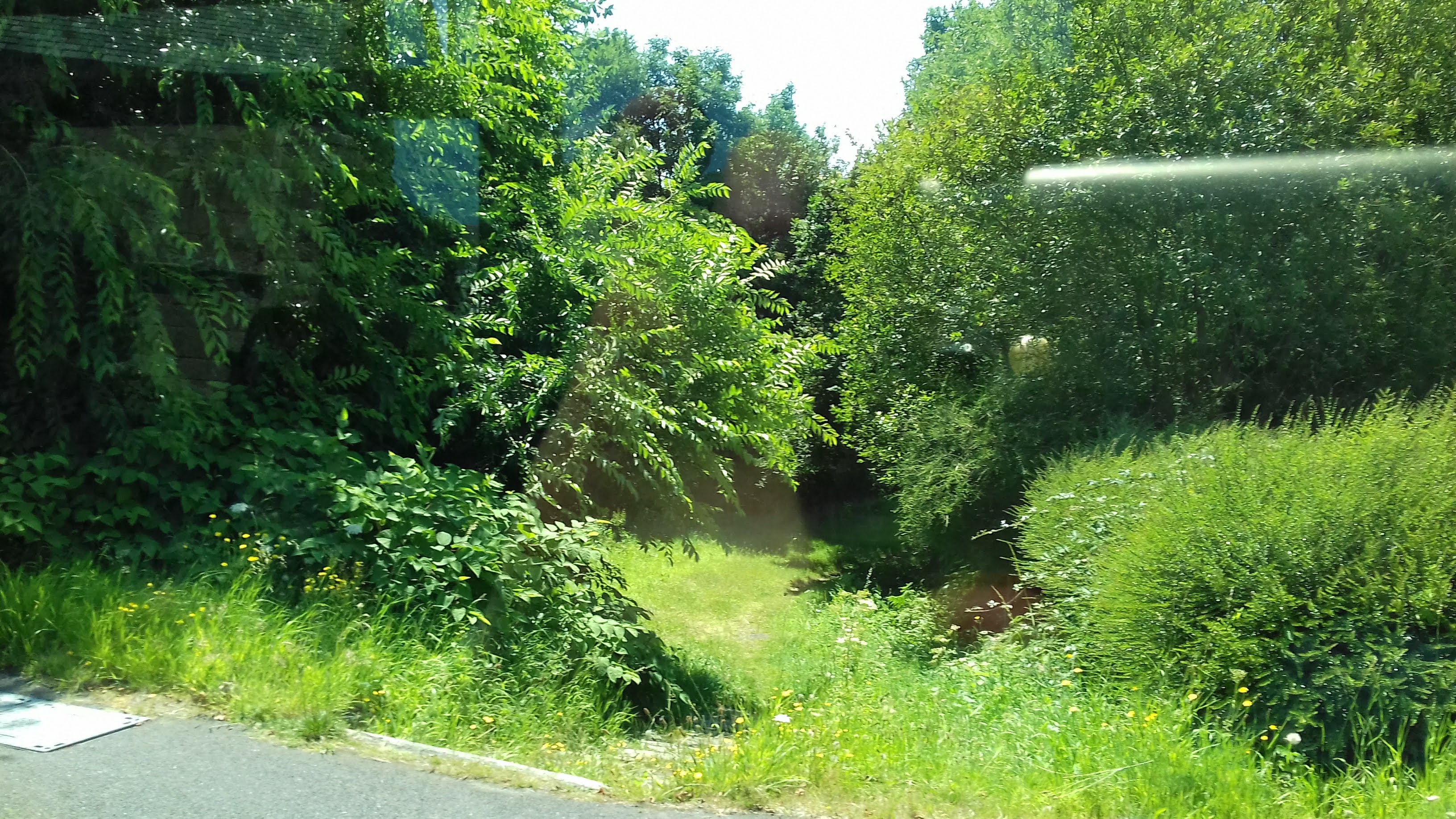 Photo n° 14 de l'avis de Patricia.e fait le 21/07/2018 à 07:42