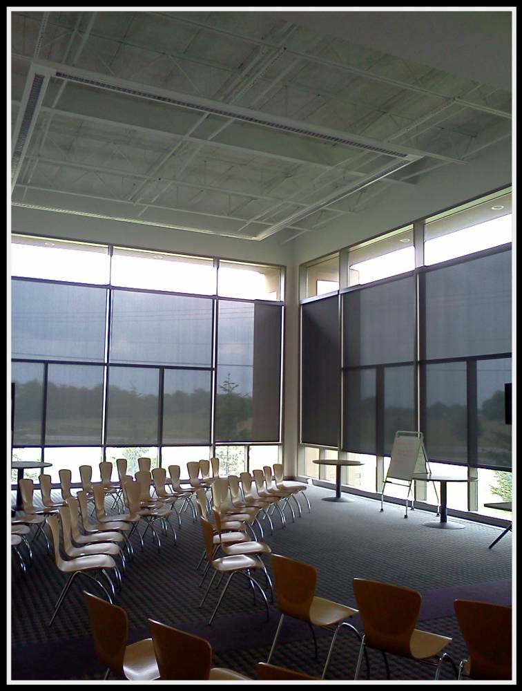 Classic Blinds