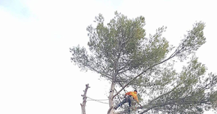 Photo n°2 de Giovannetti Florent à Les Pennes-Mirabeau ()