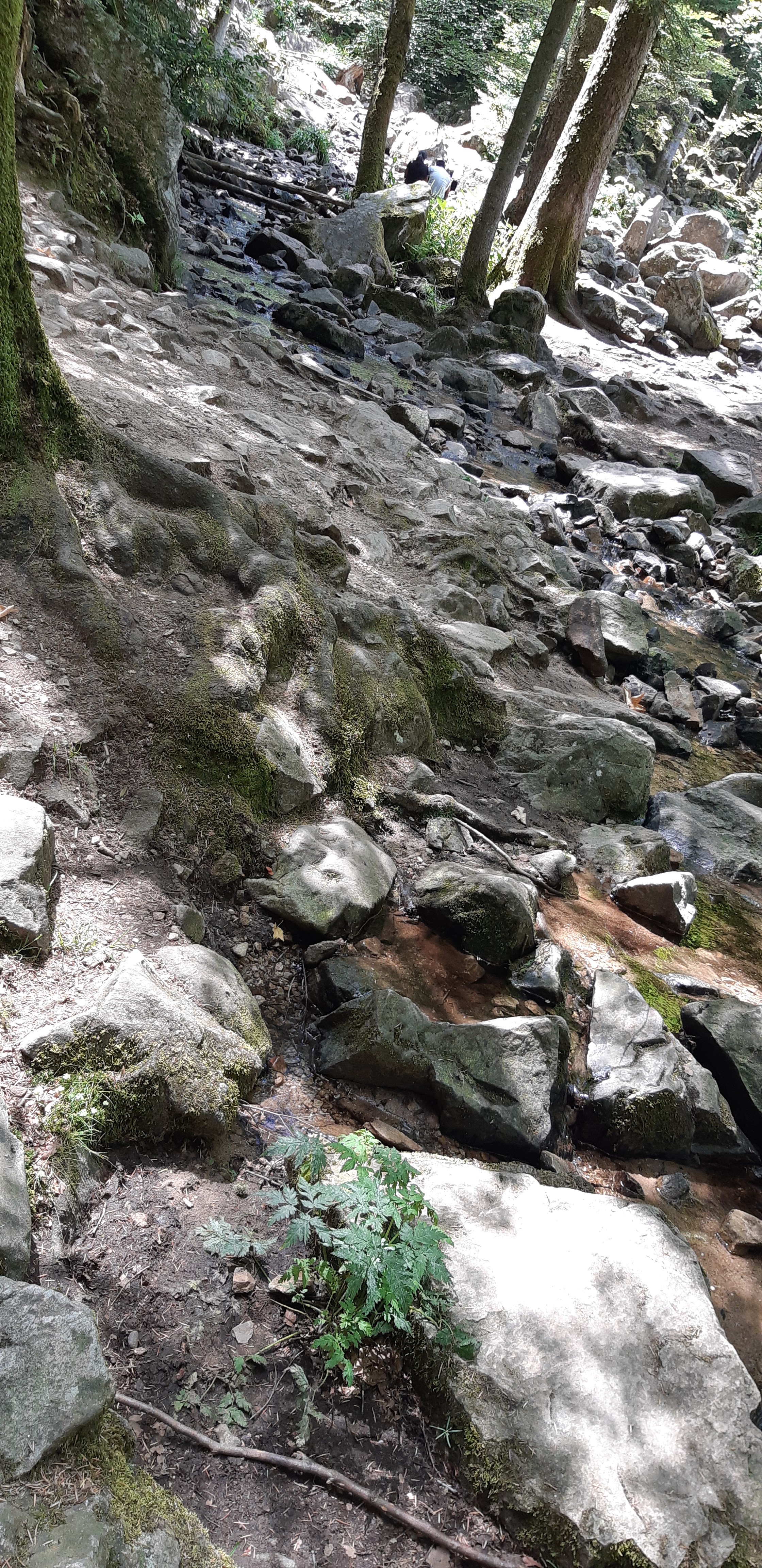 Photo n° 20 de l'avis de Anthony. fait le 03/08/2019 à 16:00