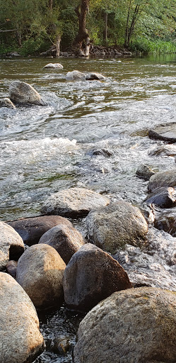 Nature Preserve «Burns-Stokes Preserve», reviews and photos, Zeeb Rd, Dexter, MI 48130, USA