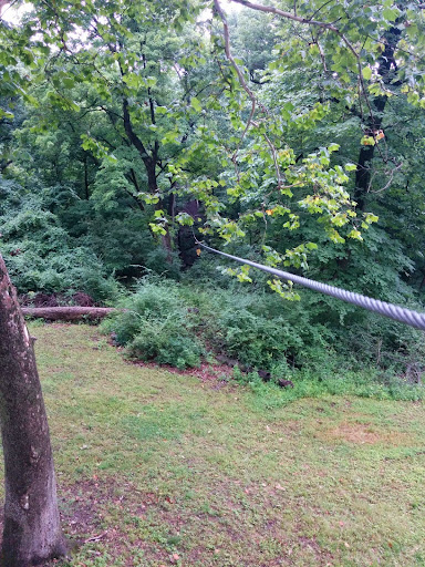 Recreation Center «Go Ape Zip Line & Treetop Adventure - Creve Coeur Park», reviews and photos, 13219 Streetcar Dr, Maryland Heights, MO 63043, USA