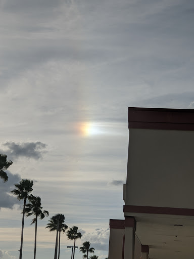 Pet Supply Store «Pet Supermarket», reviews and photos, 10291 Pines Blvd, Pembroke Pines, FL 33026, USA