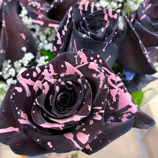 Florist «El Camino Florist», reviews and photos, 632 El Camino Real, South San Francisco, CA 94080, USA