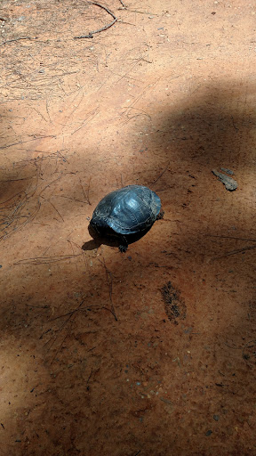 Park «Flint Creek Water Park», reviews and photos, 1216 Parkway Dr, Wiggins, MS 39577, USA