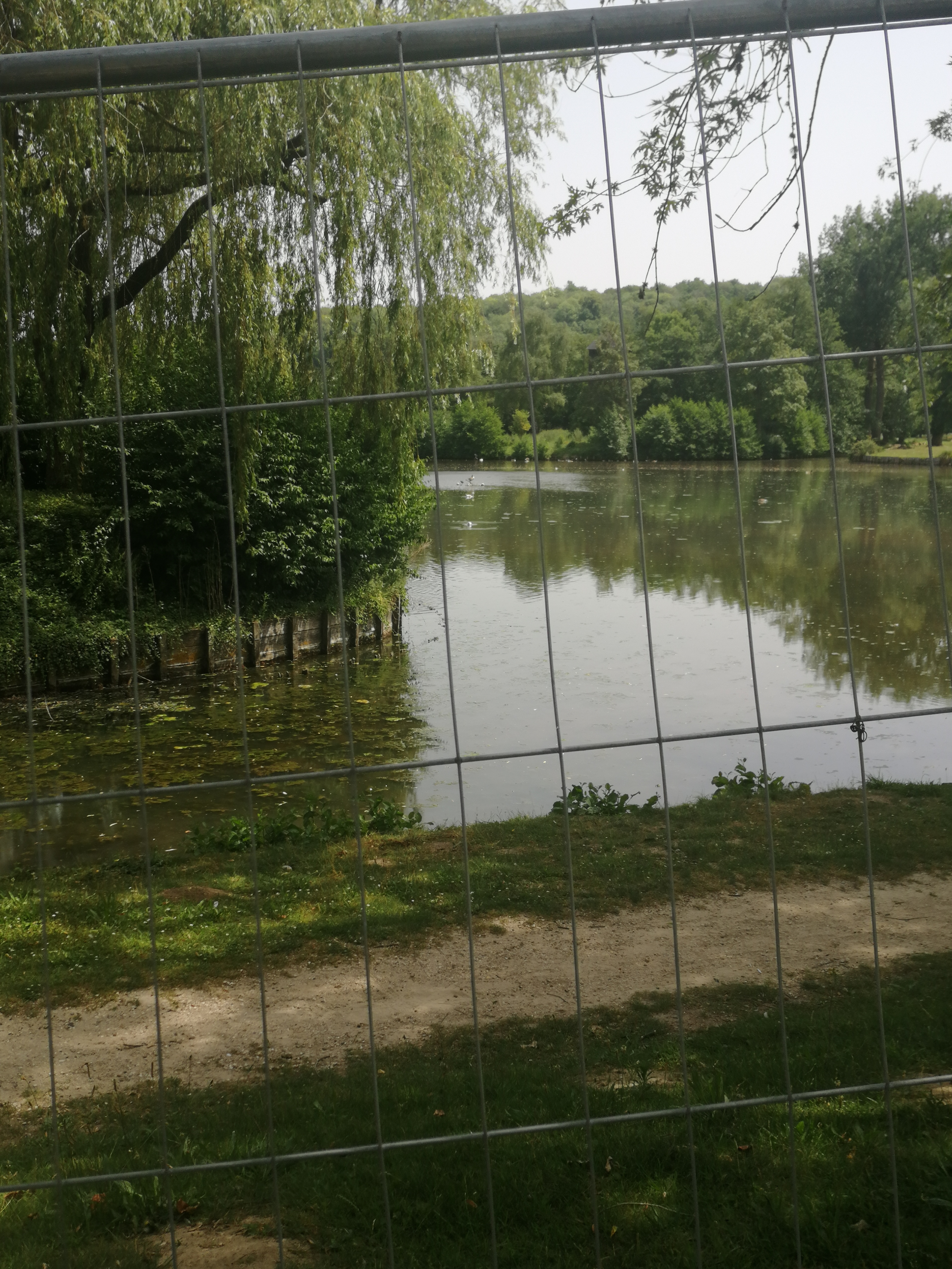 Photo n° 4 de l'avis de Nadhia.a fait le 20/06/2022 à 13:17
