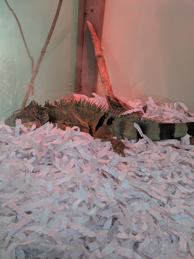 Zoo «Tupelo Buffalo Park & Zoo», reviews and photos, 2272 Coley Rd, Tupelo, MS 38801, USA