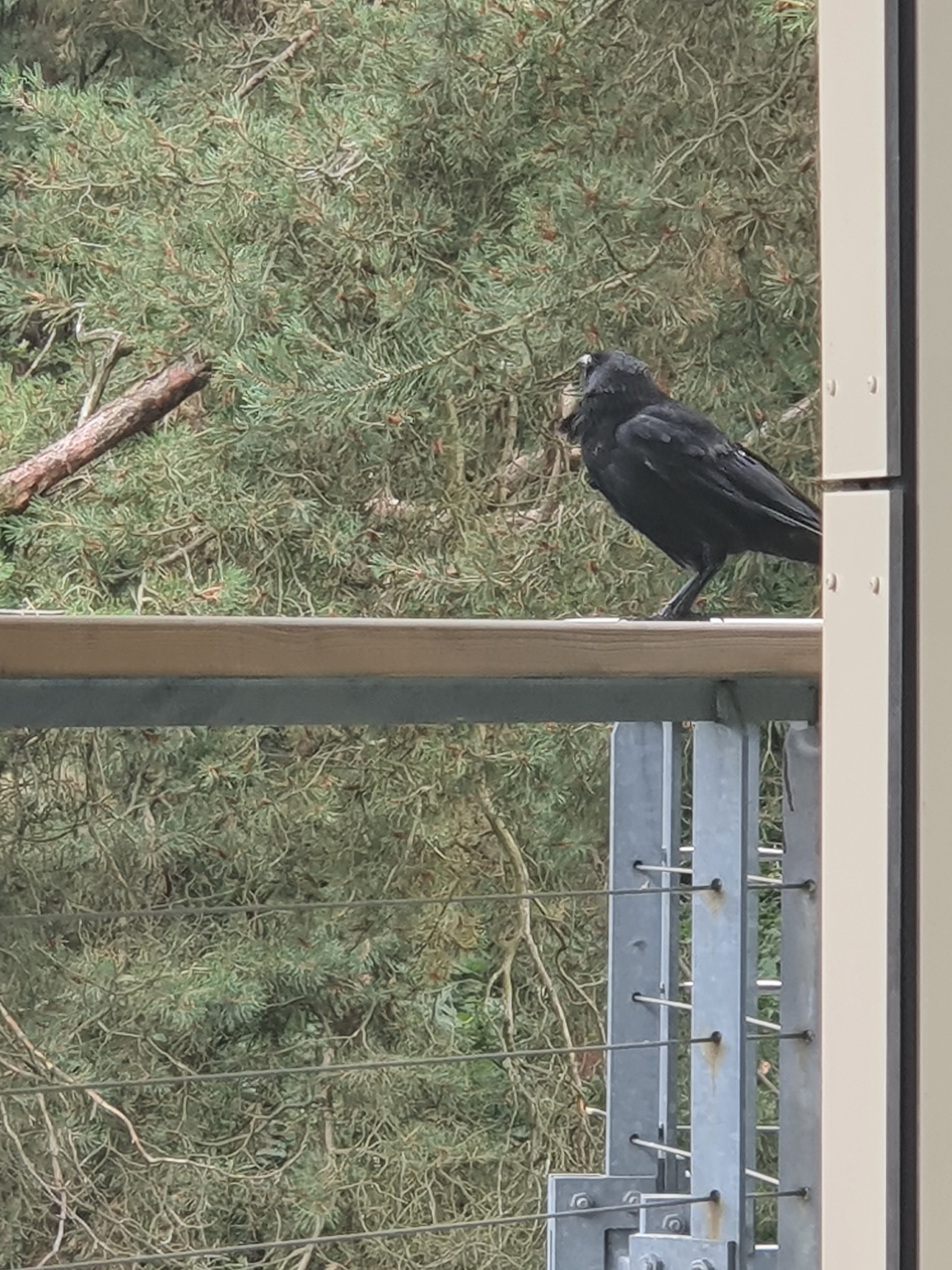 Photo n° 7 de l'avis de Mickael.e fait le 15/07/2023 à 13:18