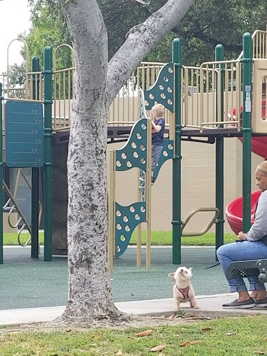 Little Lake Park image