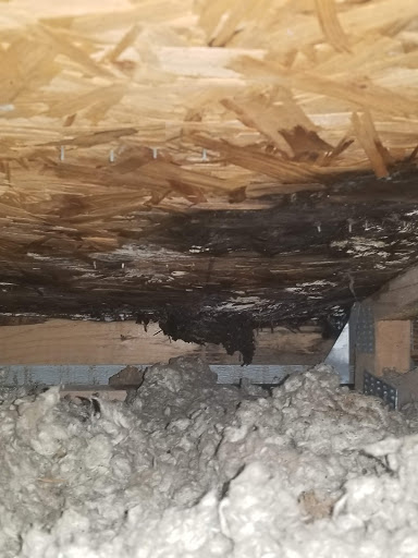 Roofing Contractor «Parlament Roofing and Construction», reviews and photos, 12880 Automobile Blvd l, Clearwater, FL 33762, USA