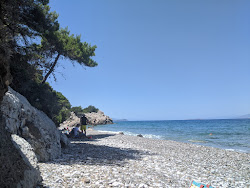 Alepochori Schinos beach'in fotoğrafı çok temiz temizlik seviyesi ile