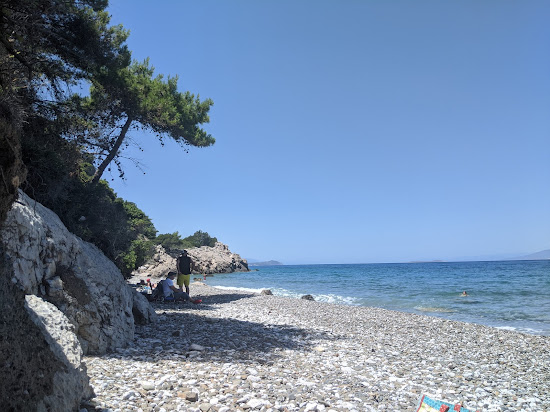 Alepochori Schinos beach