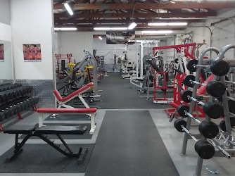 The Dungeon-Titone Pro Gym