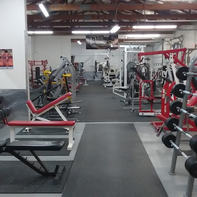 The Dungeon-Titone Pro Gym