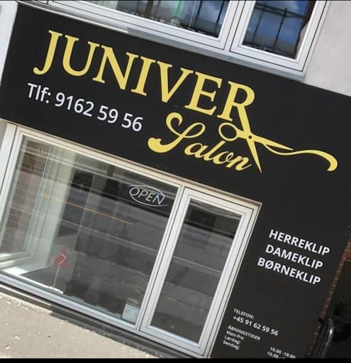 Juniver salon in Aarhus, Aarhus