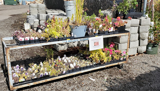 Hardware Store «Lakewood Hardware & Paint, Inc», reviews and photos, 9020 Lakewood Dr SW, Lakewood, WA 98499, USA