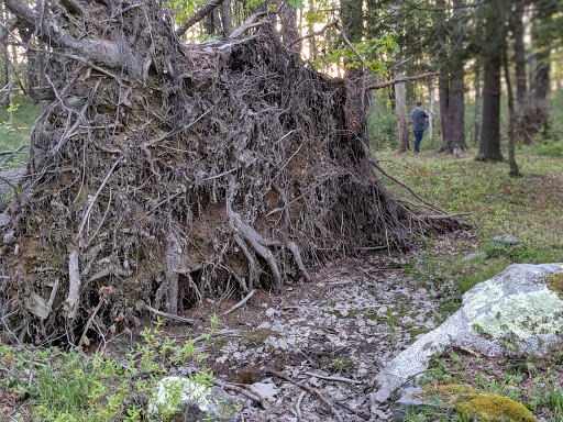 Nature Preserve «Wildlands Trust - Willow Brook Farm Preserve», reviews and photos, 99 Barker St, Pembroke, MA 02359, USA