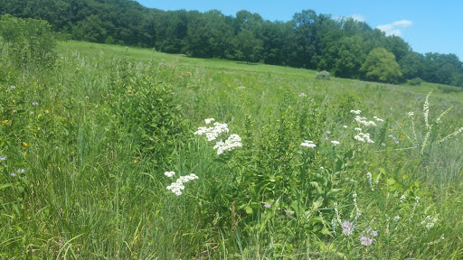Nature Preserve «Indian Creek Nature Center», reviews and photos, 5300 Otis Rd, Cedar Rapids, IA 52403, USA
