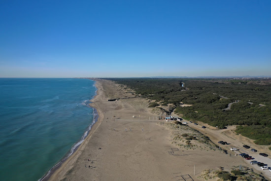 Castel Porziano Beach