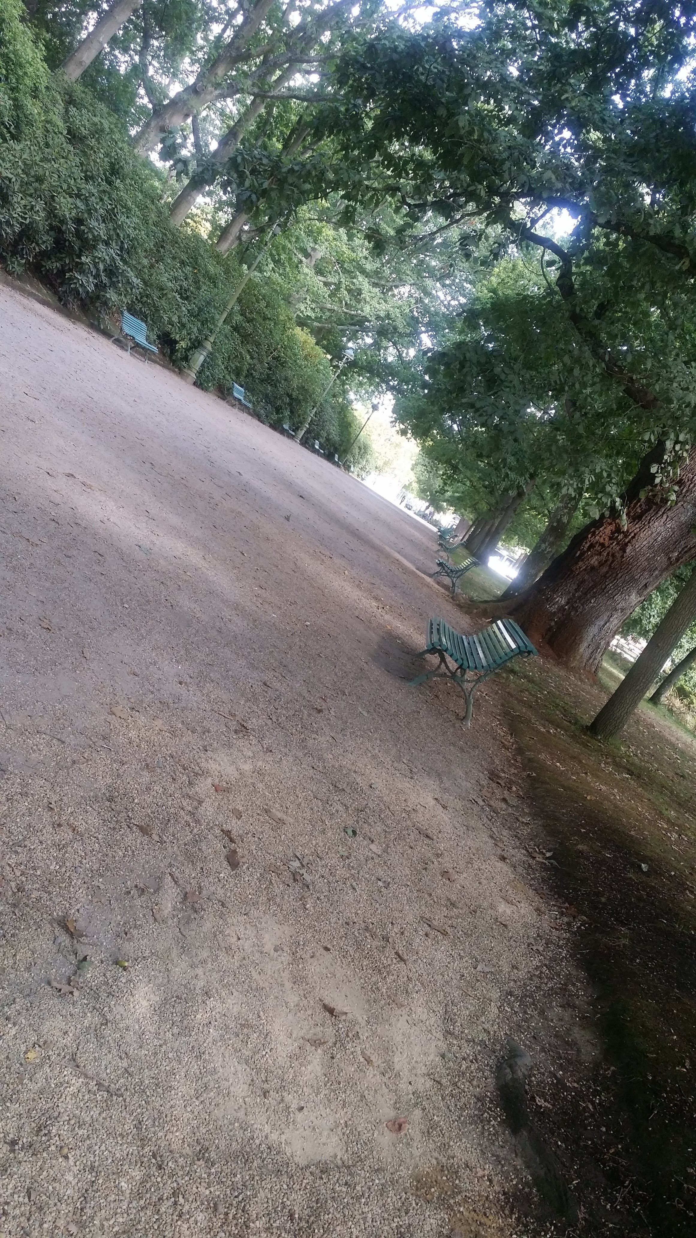 Photo n° 2 de l'avis de Alain.o fait le 24/03/2019 à 11:17
