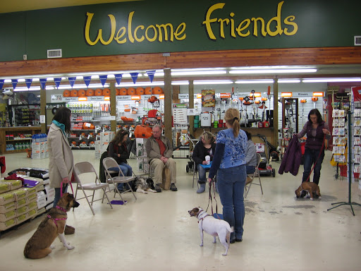 McDowell & Walker Inc