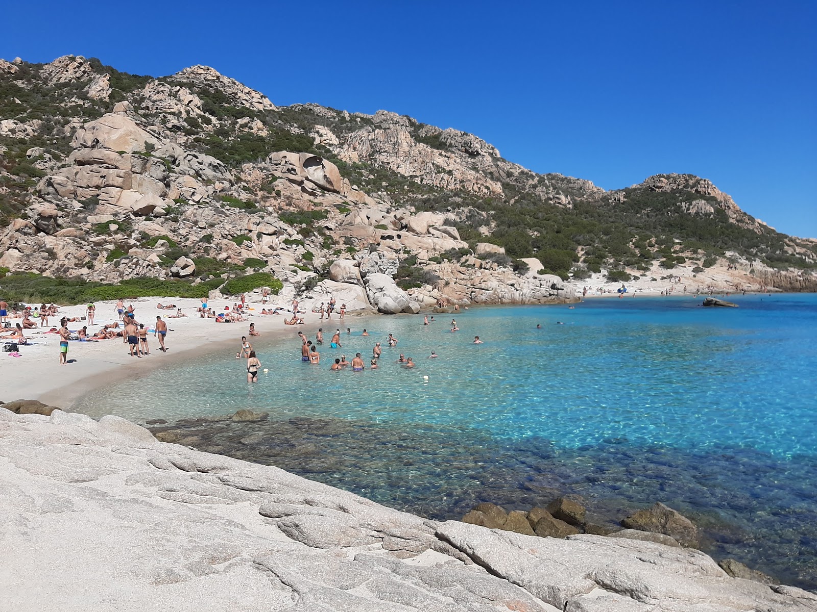 Foto di Spiaggia di Spargi La Maddalena con una superficie del acqua cristallina