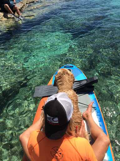 Sporting Goods Store «Adventure Sports», reviews and photos, 2750 SW 26th Ave, Miami, FL 33133, USA