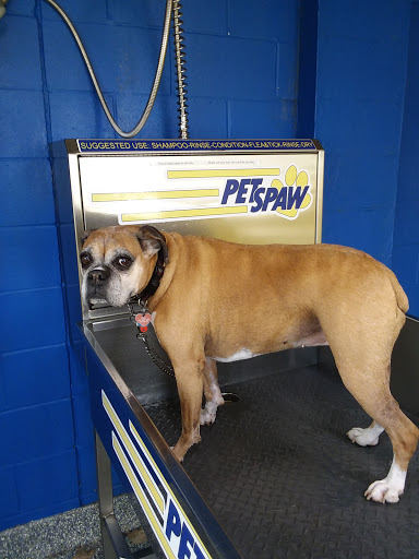 Car Wash «Quick Clean Car & Pet Wash Store, Ltd.», reviews and photos, 2500 Mayfair Rd, Akron, OH 44312, USA