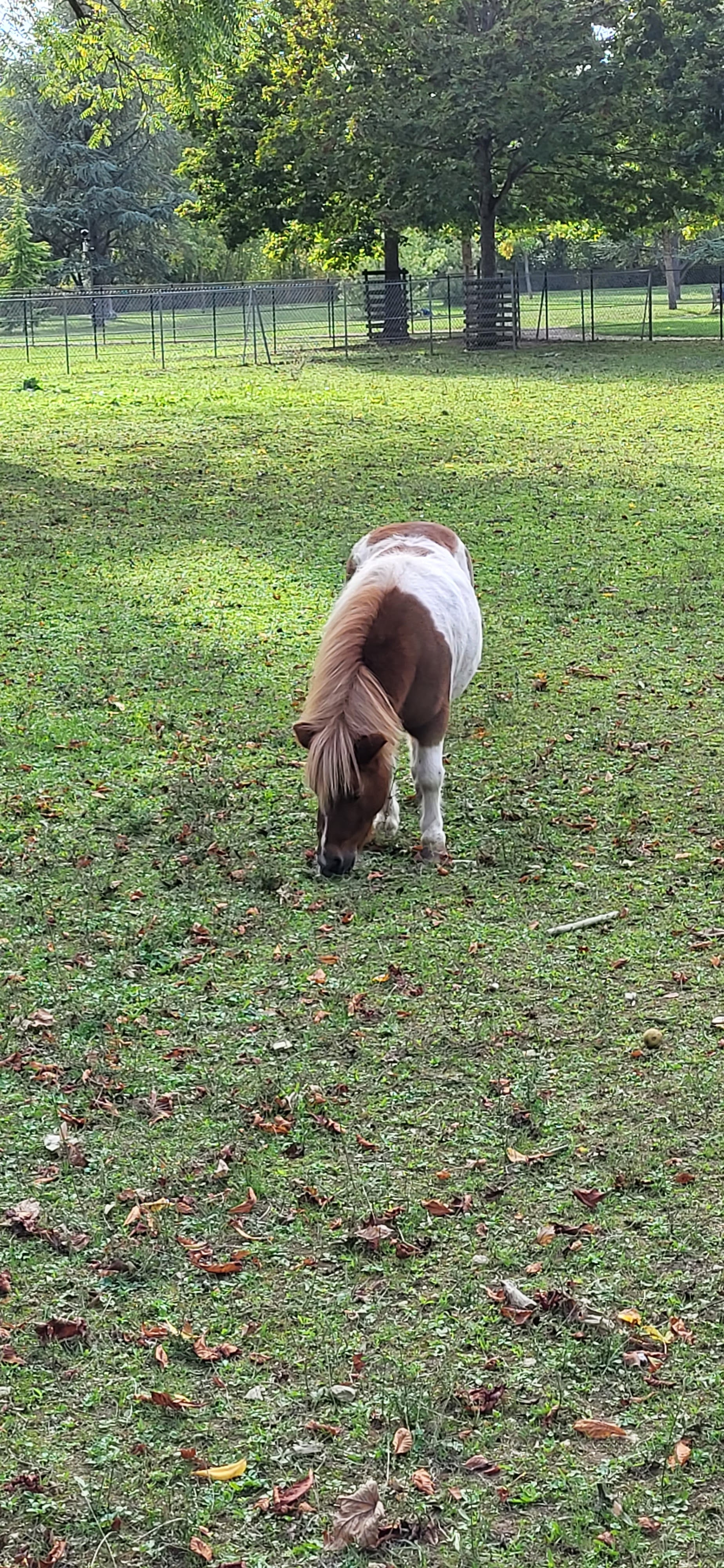 Photo n° 5 de l'avis de kinder.e fait le 29/09/2023 à 14:50