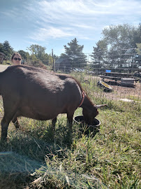 Water and Rock Studio - Photo 2 - Car repair in Burlington, VT, Burlington