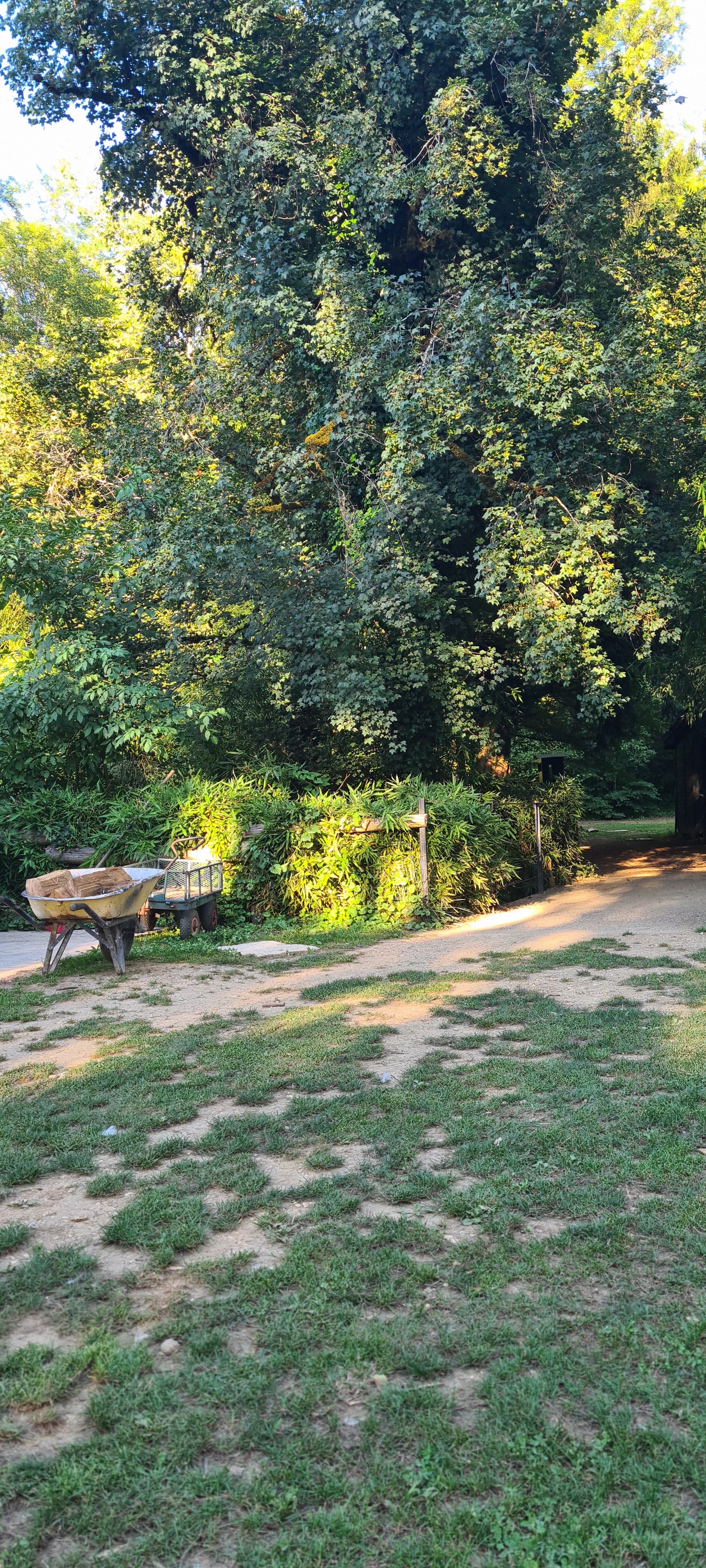 Photo n° 12 de l'avis de Sandrine.u fait le 06/07/2022 à 19:32