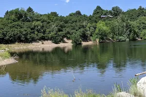 Farmington Pond image