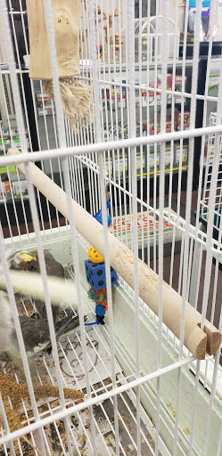 Pet Store «PV Pets», reviews and photos, 233 S Broadway, Pennsville, NJ 08070, USA