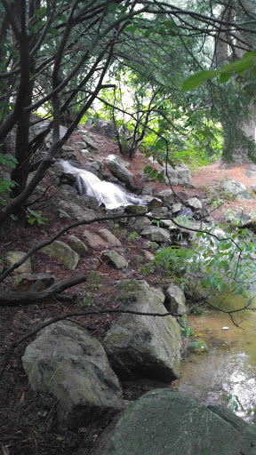 Gift Shop «Stonehedge Gardens», reviews and photos, 51 Dairy Rd, Tamaqua, PA 18252, USA