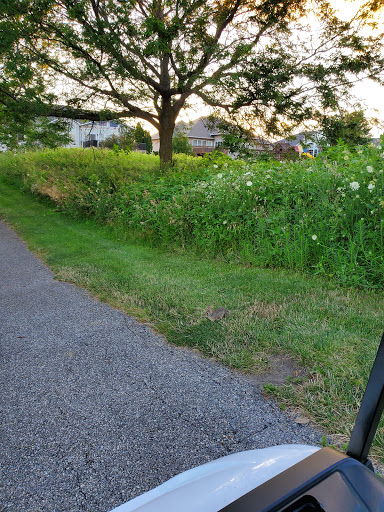 Golf Course «Hunters Ridge Golf Course», reviews and photos, 2901 Hunters Ridge Rd, Marion, IA 52302, USA