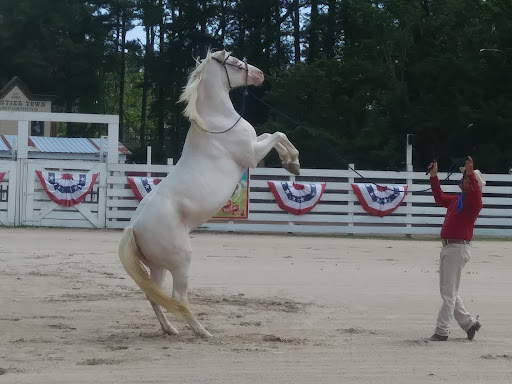 Theme Park «Frontier Town Western Theme Park», reviews and photos, 8428 Stephen Decatur Hwy, Berlin, MD 21811, USA