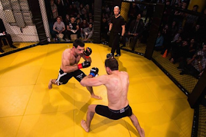 MMA Berlin - Mixed Martial Arts image