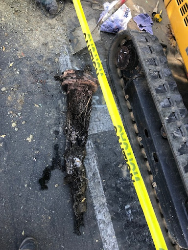 Plumber «Service Pros Plumbers», reviews and photos, 2440 Alderwood Dr, Antioch, CA 94509, USA