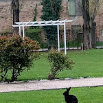 Photo n°1 de l'avis de Walter.s fait le 18/04/2024 à 11:37 sur le  Hotel City Parma à Parma