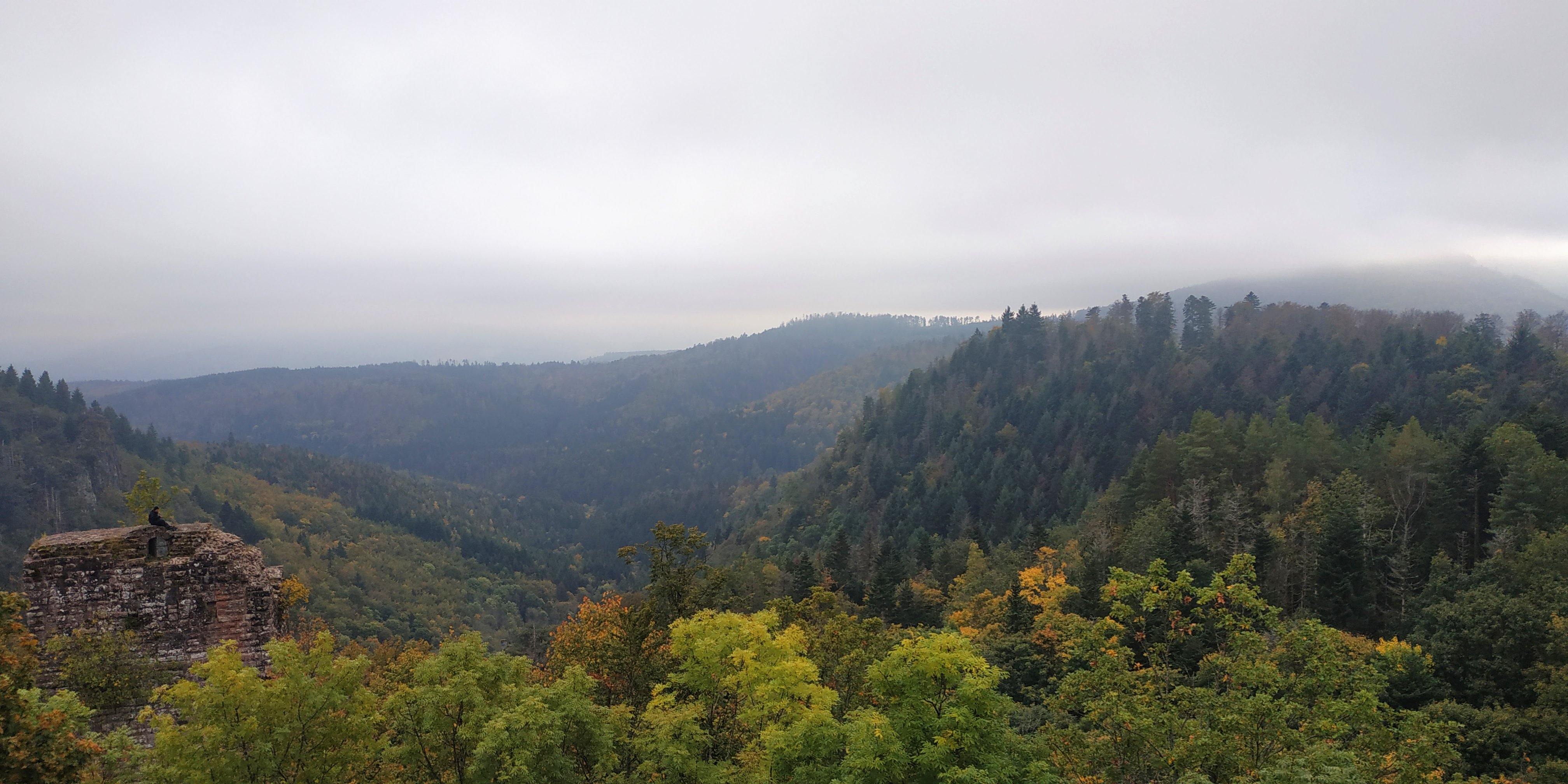Photo n° 10 de l'avis de Sorti.u fait le 18/10/2021 à 08:32