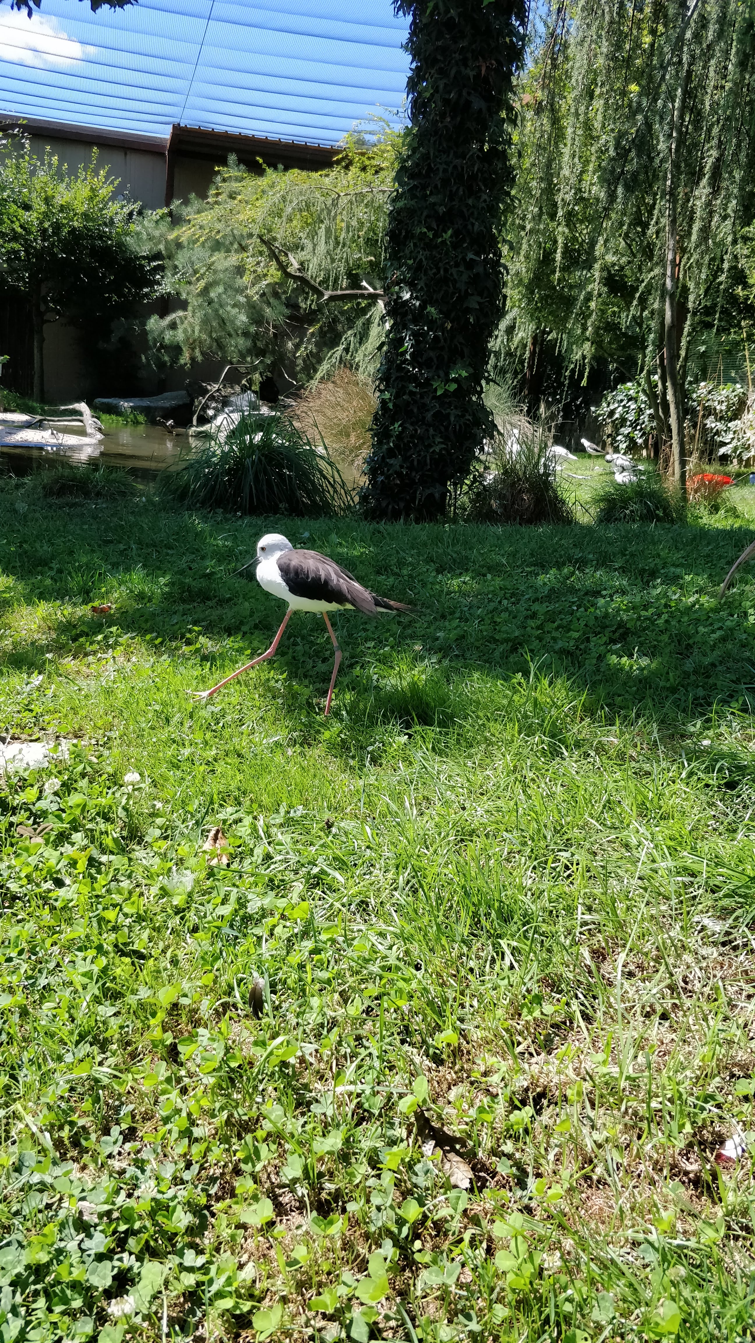 Photo n° 13 de l'avis de Nicolas.o fait le 15/08/2018 à 16:56