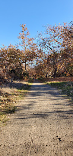 Park «Cañada Vista Park», reviews and photos, 24328 Antonio Pkwy, Rancho Santa Margarita, CA 92688, USA