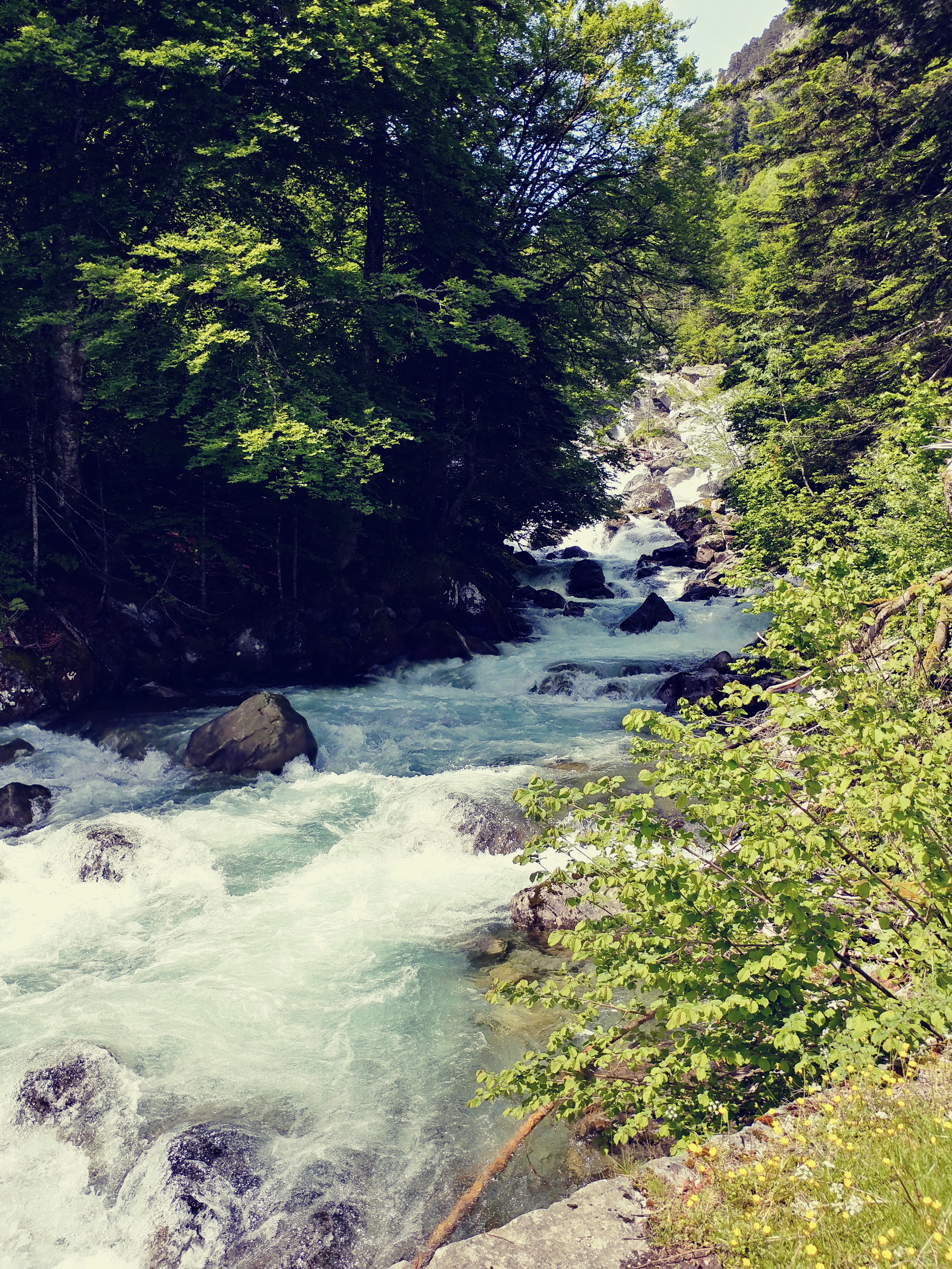 Photo n° 3 de l'avis de Sandra.a fait le 22/06/2019 à 16:37