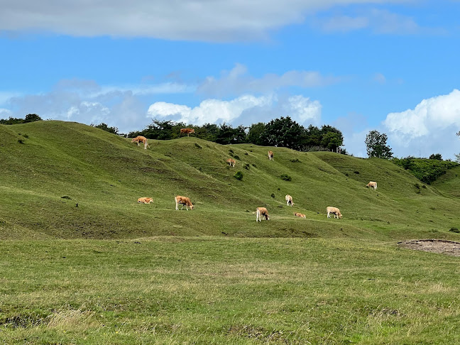 Als Havbakker - Hotel