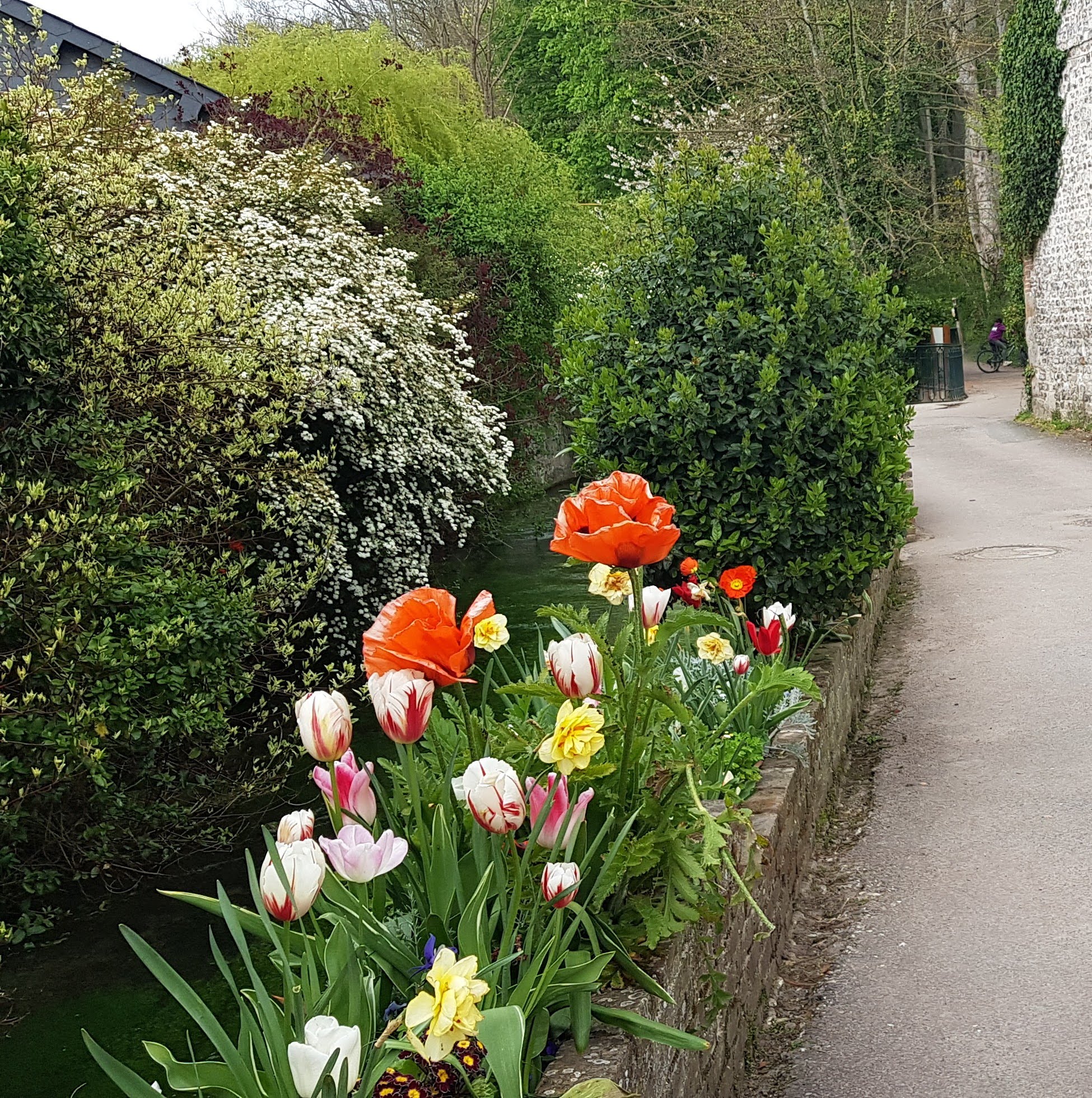 Photo n° 2 de l'avis de Babeth.o fait le 22/04/2022 à 20:53
