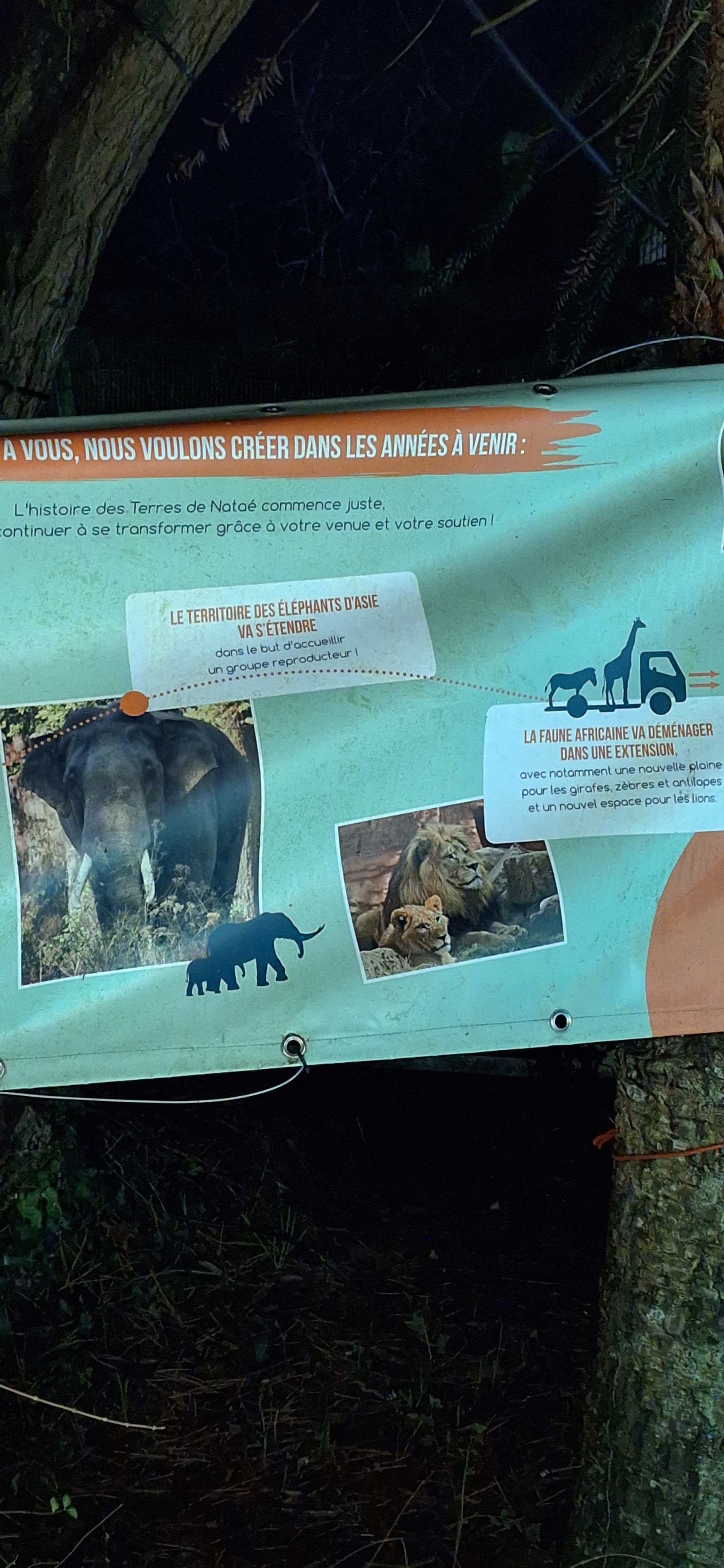 Photo n° 2 de l'avis de Maud. fait le 26/12/2023 à 19:29